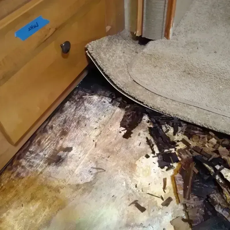 Wood Floor Water Damage in Chattahoochee County, GA